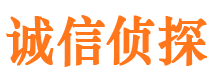 武川侦探